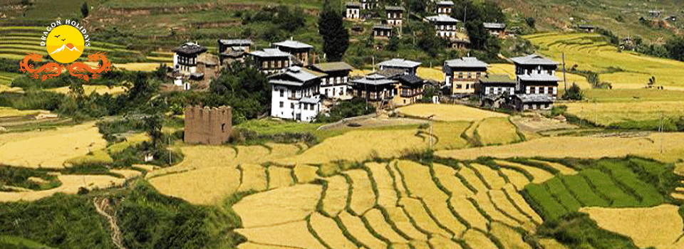 Bumthang-Trek-Bigl Why Bhutan Is So Popular With Tourists